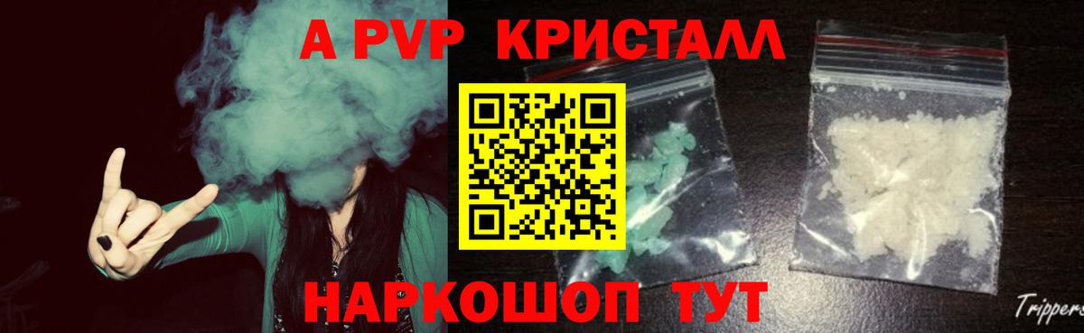 Alfa_PVP СК Зеленогорск