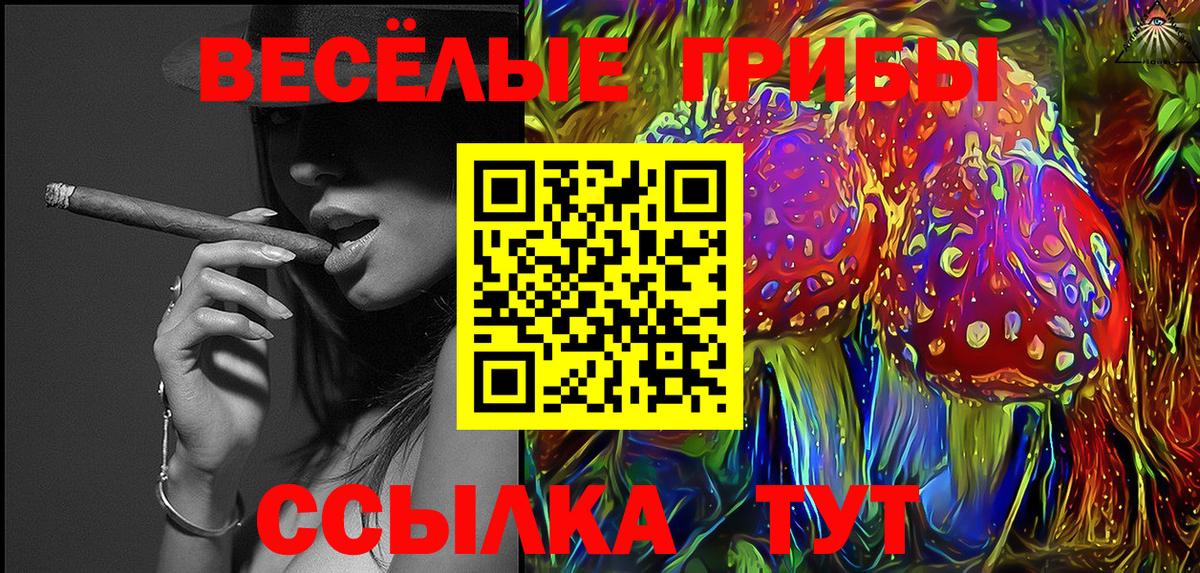 Галлюциногенные грибы Psilocybine cubensis  магазин продажи   Зеленогорск  Вход с VPN 